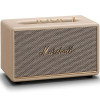 Marshall Acton III Cream