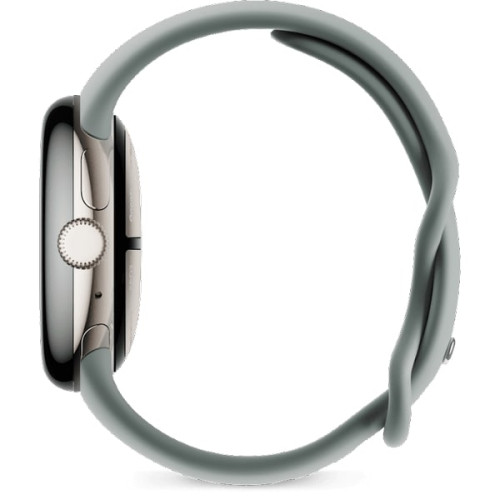 Pixel Watch 2 LTE Champagne Gold Case / Hazel Active band