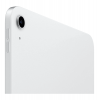iPad 11